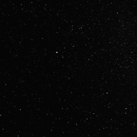 Die Nacht der Sternschnuppen