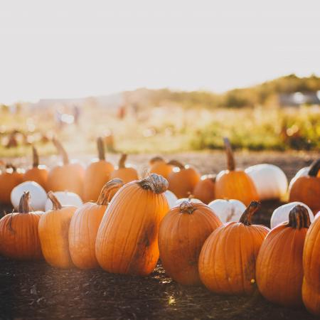 AUTUNNO IN FESTA