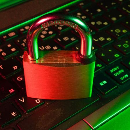 Digital security: fraud and cybercrime