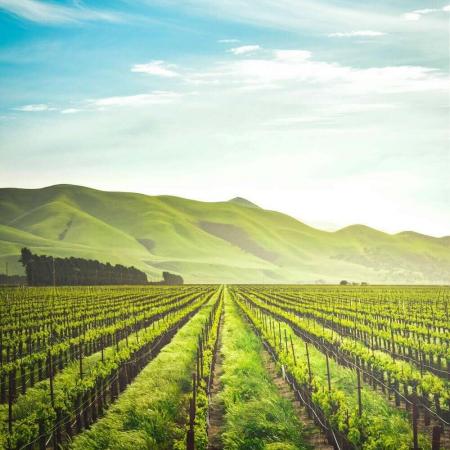 Conference on agrivoltaics and agriculture